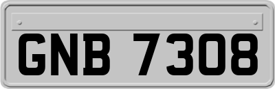 GNB7308