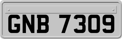 GNB7309