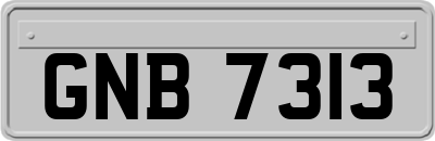 GNB7313