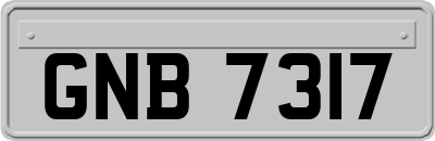 GNB7317