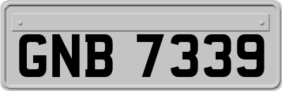 GNB7339