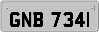 GNB7341