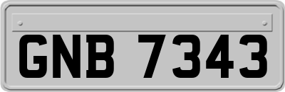 GNB7343