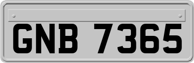 GNB7365
