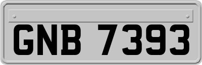GNB7393