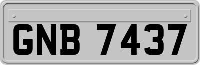 GNB7437