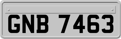 GNB7463