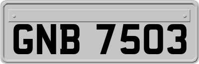 GNB7503