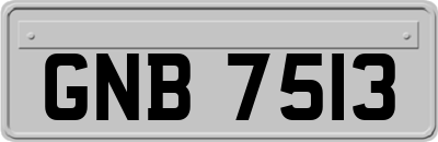 GNB7513