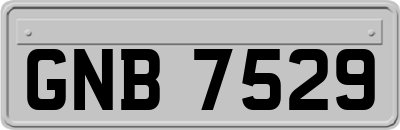 GNB7529