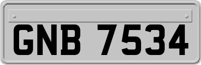 GNB7534