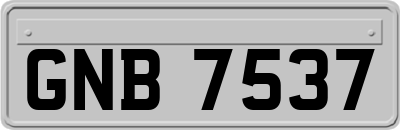 GNB7537