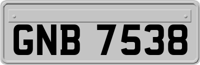 GNB7538