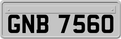 GNB7560