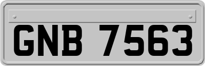 GNB7563