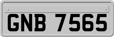 GNB7565