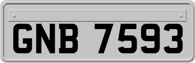 GNB7593
