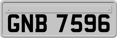 GNB7596