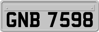 GNB7598