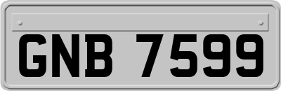 GNB7599