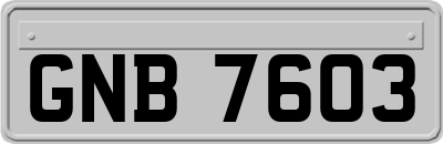 GNB7603