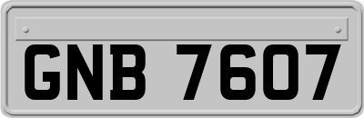 GNB7607