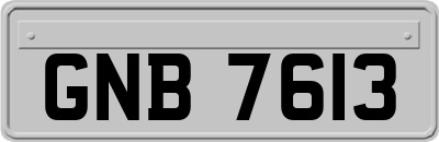 GNB7613