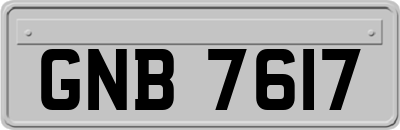 GNB7617