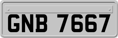 GNB7667