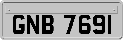 GNB7691