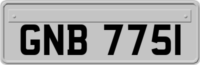 GNB7751