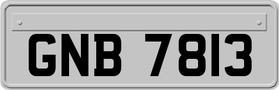 GNB7813