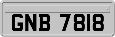 GNB7818