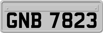 GNB7823