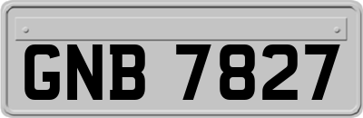 GNB7827