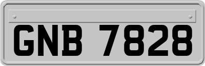 GNB7828