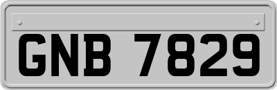 GNB7829
