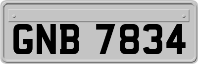 GNB7834
