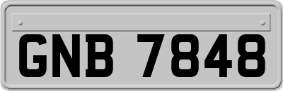 GNB7848