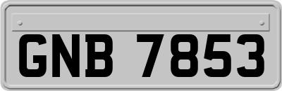 GNB7853