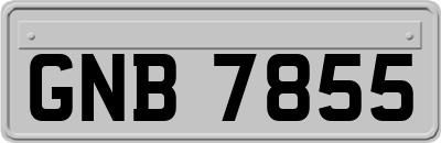 GNB7855