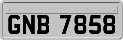 GNB7858