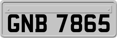 GNB7865