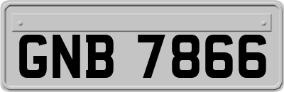 GNB7866