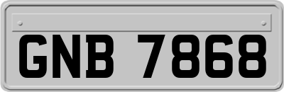 GNB7868
