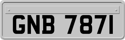 GNB7871