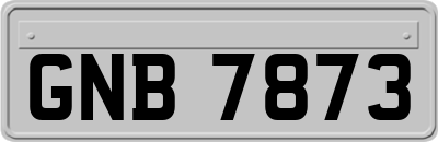 GNB7873