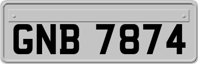 GNB7874