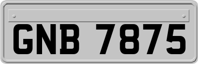 GNB7875
