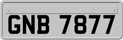 GNB7877